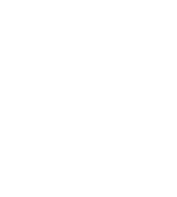 Havana Club Grounds