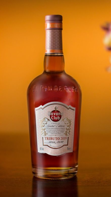 Havana Club Tributo 2019 Rum Flasche