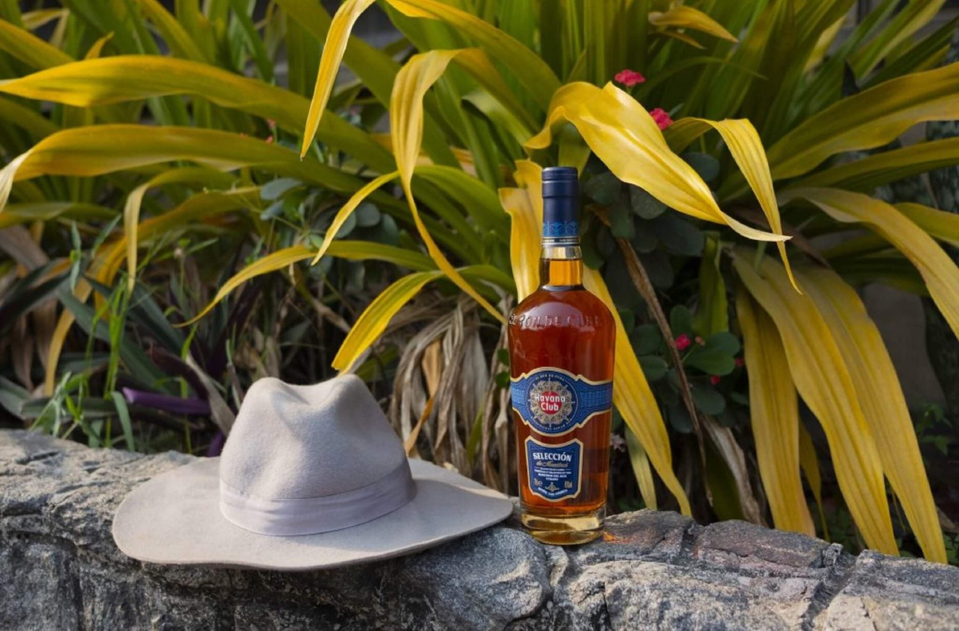 Havana Club SDM bottle - Stephen Tayo