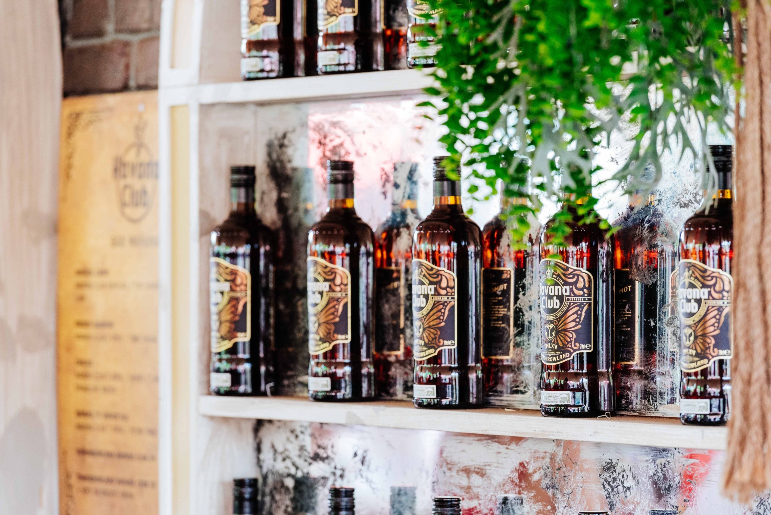 Evento Tomorrowland - Botellas - Image 07