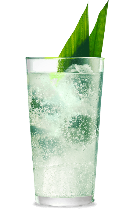 Havana Club Verde Pandan Highball Rezept